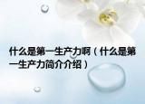 什么是第一生产力啊（什么是第一生产力简介介绍）