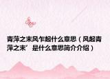 青萍之末风乍起什么意思（风起青萍之末’是什么意思简介介绍）