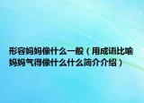 形容妈妈像什么一般（用成语比喻妈妈气得像什么什么简介介绍）