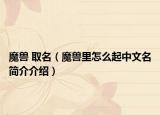 魔兽 取名（魔兽里怎么起中文名简介介绍）
