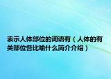 表示人体部位的词语有（人体的有关部位各比喻什么简介介绍）