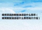 蜂窝里面的数据漫游是什么意思（蜂窝数据漫游是什么意思简介介绍）