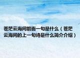 苍茫云海间前面一句是什么（苍茫云海间的上一句诗是什么简介介绍）