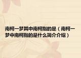 南柯一梦其中南柯指的是（南柯一梦中南柯指的是什么简介介绍）
