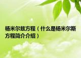 杨米尔兹方程（什么是杨米尔斯方程简介介绍）