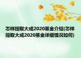 怎样提取大成2020基金介绍(怎样提取大成2020基金详细情况如何)