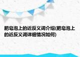 肥皂泡上的近反义词介绍(肥皂泡上的近反义词详细情况如何)