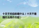 十天干对应的是什么（十天干是指什么简介介绍）