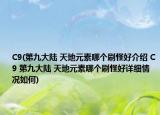 C9(第九大陆 天地元素哪个刷怪好介绍 C9 第九大陆 天地元素哪个刷怪好详细情况如何)