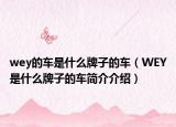 wey的车是什么牌子的车（WEY是什么牌子的车简介介绍）