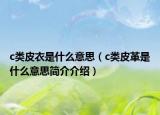 c类皮衣是什么意思（c类皮革是什么意思简介介绍）