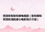何润东和张钧甯电视剧（张钧甯和何润东演的虐心电影简介介绍）