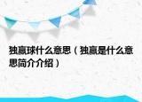 独赢球什么意思（独赢是什么意思简介介绍）