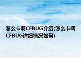 怎么卡啊CFBUG介绍(怎么卡啊CFBUG详细情况如何)