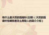 有什么是天然的指南针(全部)（天然的指南针有哪些是怎么帮助人的简介介绍）
