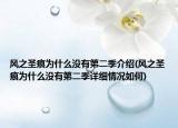 风之圣痕为什么没有第二季介绍(风之圣痕为什么没有第二季详细情况如何)