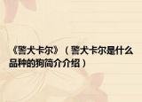 《警犬卡尔》（警犬卡尔是什么品种的狗简介介绍）