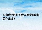 冷血动物百科（什么是冷血动物简介介绍）