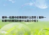 春种一粒粟中的粟是指什么意思（春种一粒粟中的粟指的是什么简介介绍）