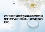 DNF白虎之魂系列到底好在哪里介绍(DNF白虎之魂系列到底好在哪里详细情况如何)