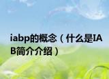 iabp的概念（什么是IAB简介介绍）