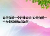 如何分析一个行业介绍(如何分析一个行业详细情况如何)