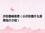 沙弥是啥意思（小沙弥是什么意思简介介绍）