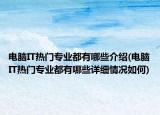 电脑IT热门专业都有哪些介绍(电脑IT热门专业都有哪些详细情况如何)