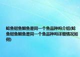 鲶鱼钳鱼鮰鱼是同一个鱼品种吗介绍(鲶鱼钳鱼鮰鱼是同一个鱼品种吗详细情况如何)