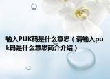 输入PUK码是什么意思（请输入puk码是什么意思简介介绍）