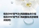 现在DNF男气功(纯刷图加点介绍 现在DNF男气功 纯刷图加点详细情况如何)