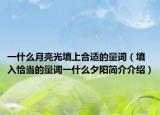 一什么月亮光填上合适的量词（填入恰当的量词一什么夕阳简介介绍）