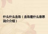 什么什么击缶（击缶是什么意思简介介绍）