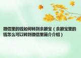微信里的钱如何转到余额宝（余额宝里的钱怎么可以转到微信里简介介绍）