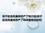 娇子的龙凤呈祥停产了吗介绍(娇子的龙凤呈祥停产了吗详细情况如何)