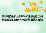沙特阿拉伯怎么会有5000王子介绍(沙特阿拉伯怎么会有5000王子详细情况如何)