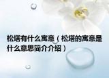 松塔有什么寓意（松塔的寓意是什么意思简介介绍）