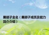 黑胡子全名（黑胡子成员及能力简介介绍）