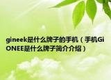 gineek是什么牌子的手机（手机GiONEE是什么牌子简介介绍）