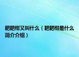 耙耙柑又叫什么（耙耙柑是什么简介介绍）