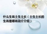 什么生肖土生土长（土生土长的生肖是哪肖简介介绍）