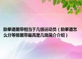 跆拳道黑带相当于几级运动员（跆拳道怎么分等级黑带最高是几级简介介绍）