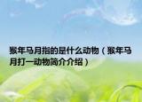 猴年马月指的是什么动物（猴年马月打一动物简介介绍）
