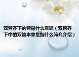 双管齐下的管是什么意思（双管齐下中的双管本意是指什么简介介绍）