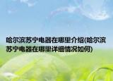 哈尔滨苏宁电器在哪里介绍(哈尔滨苏宁电器在哪里详细情况如何)