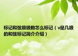 标记和弦级级数怎么标记（v是几级的和弦标记简介介绍）