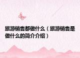 旅游销售都做什么（旅游销售是做什么的简介介绍）