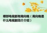 哪部电视剧有南向晚（南向晚是什么电视剧简介介绍）