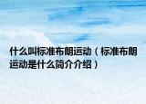 什么叫标准布朗运动（标准布朗运动是什么简介介绍）