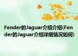 Fender的Jaguar介绍介绍(Fender的Jaguar介绍详细情况如何)